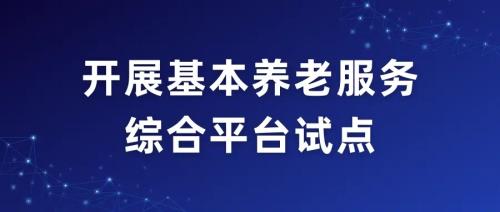 民政部 國家數(shù)據(jù)局關(guān)于組織開展基本養(yǎng)老服務(wù)綜合平臺試點(diǎn)的通知